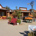 Cambria_0394 (November 01, 2013)